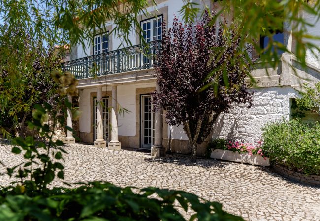 Villa en Armamar - Mansión con piscina climatizada e asador