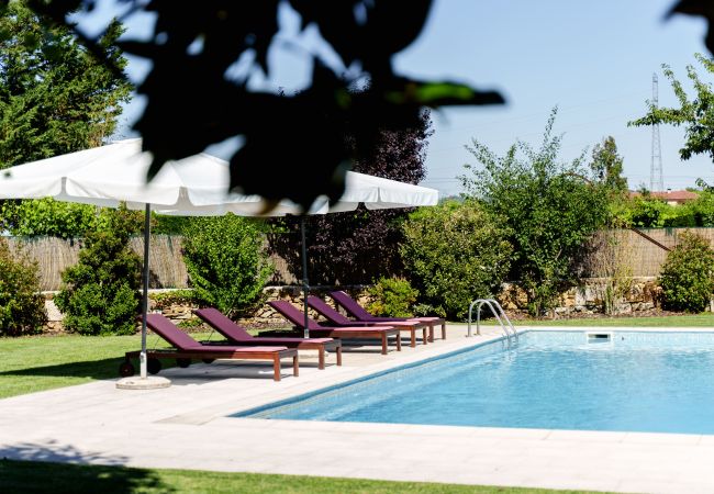 Villa en Armamar - Mansión con piscina climatizada e asador