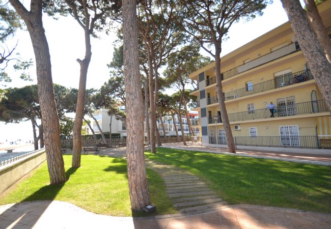 Apartamento em Cambrils - Pins i Mar:Terraza-Frente playa Cambrils-Wifi,A/C,satélite,ropa incluidos