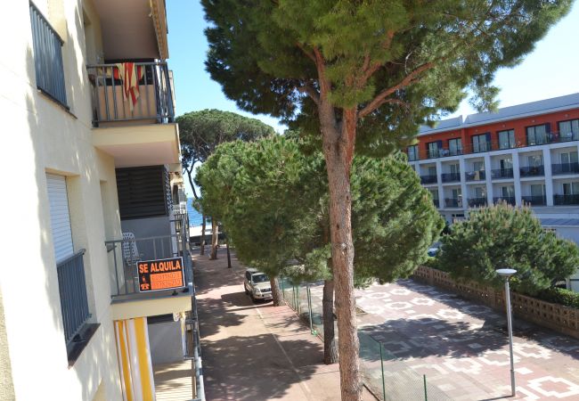 Apartamento em Cambrils - Pins i Mar:Terraza-Frente playa Cambrils-Wifi,A/C,satélite,ropa incluidos