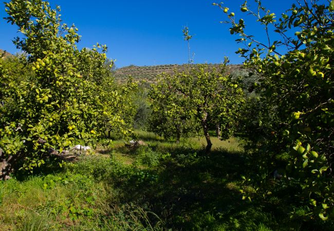 Villa em Melegís - Jardin de los limones - private lemon garden