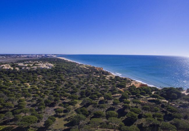 Villa em Albufeira - Villa Joy | 4 Quartos | a Pé da Praia | Olhos de Água