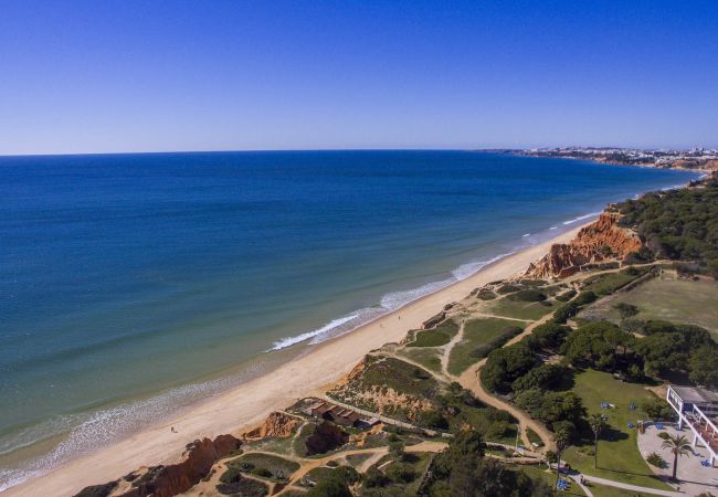 Villa em Albufeira - Villa Joy | 4 Quartos | a Pé da Praia | Olhos de Água