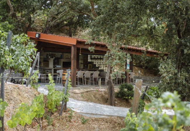 Villa em Folgosa - Villa com piscina, barbecue e vistas panorâmicas