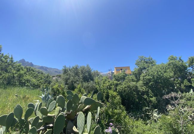 Villa em Valsequillo - La Maison de la Lune