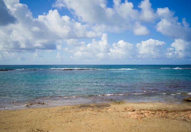 Estúdio em Las Palmas de Gran Canaria - Camden home  by CanariasGetaway 