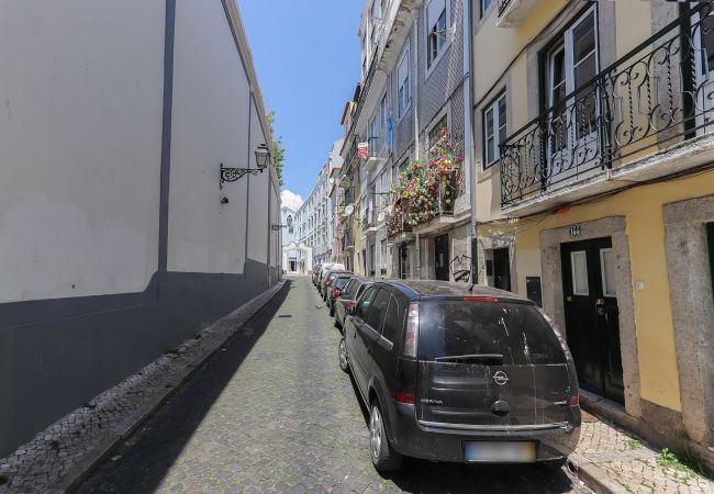 Bairro Alto Blue by Homing