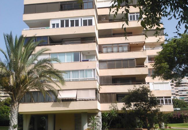 Апартаменты на Torremolinos - 7 D playamar