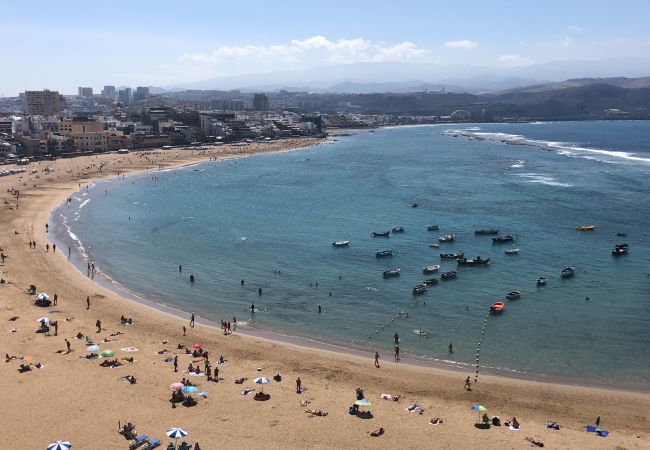 Дом на Лас Пальмас де Гран Канариа / Las Palmas de Gran Canaria - Castle and Park view  By CanariasGetaway 