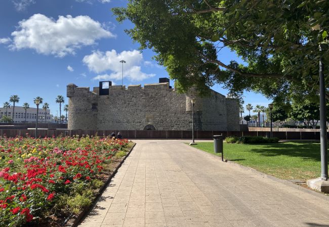 Дом на Лас Пальмас де Гран Канариа / Las Palmas de Gran Canaria - Castle and Park view  By CanariasGetaway 