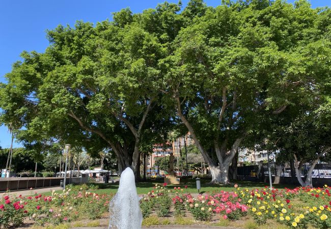 Дом на Лас Пальмас де Гран Канариа / Las Palmas de Gran Canaria - Castle and Park view  By CanariasGetaway 