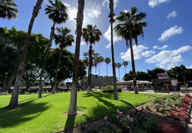 Дом на Лас Пальмас де Гран Канариа / Las Palmas de Gran Canaria - Castle and Park view  By CanariasGetaway 