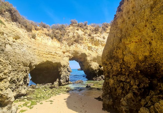 Вилла на Vale do Lobo - Dunas Douradas Casa de praia