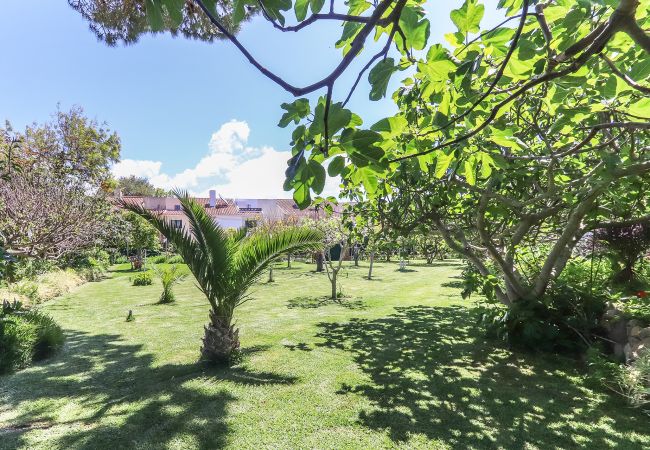 Апартаменты на Aldeia de Juzo - Guincho Garden