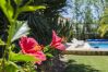 Villa à Almancil - Villa Caravela | 4 Chambres | Magnifique Jardin | Almancil