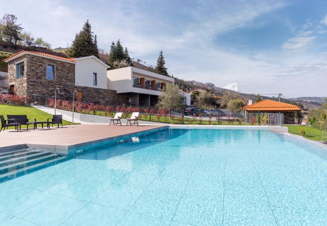 Villa à Peso da Régua - Villa contemporaine avec piscine à débordement et jardin