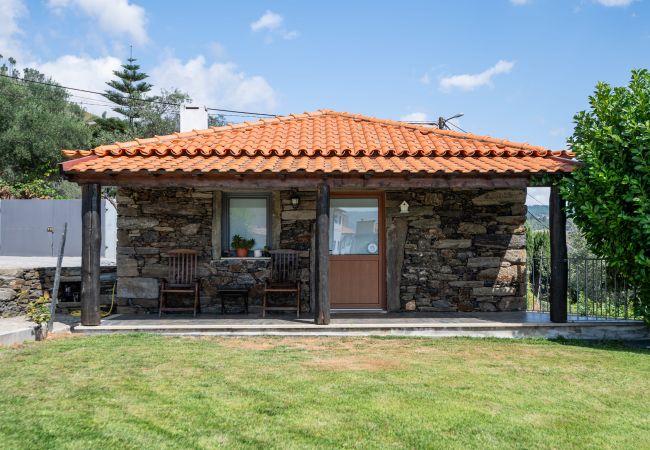 Villa à Peso da Régua - Villa contemporaine avec piscine à débordement et jardin