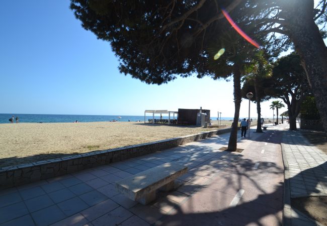 Apartment in Cambrils - Pins i Mar:Terrace-In front of Cambrils beach-Wifi,A/C,satellite,linen included