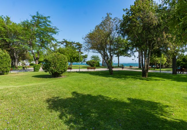 Apartment in Setúbal - Renovated apartment in a typical neighborhood of Setúbal, large terrace, sleeps 6pax