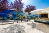 Apartment in Setúbal - Renovated apartment in a typical neighborhood of Setúbal, large terrace, sleeps 6pax