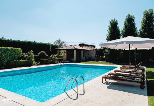 Villa in Armamar - Mansion with heated pool e barbecue