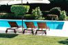 Villa in Armamar - Mansion with heated pool e barbecue