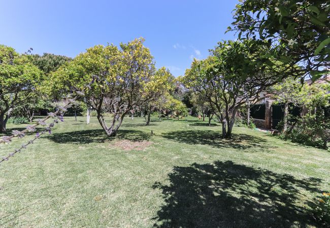 Apartment in Aldeia de Juzo - Guincho Garden I