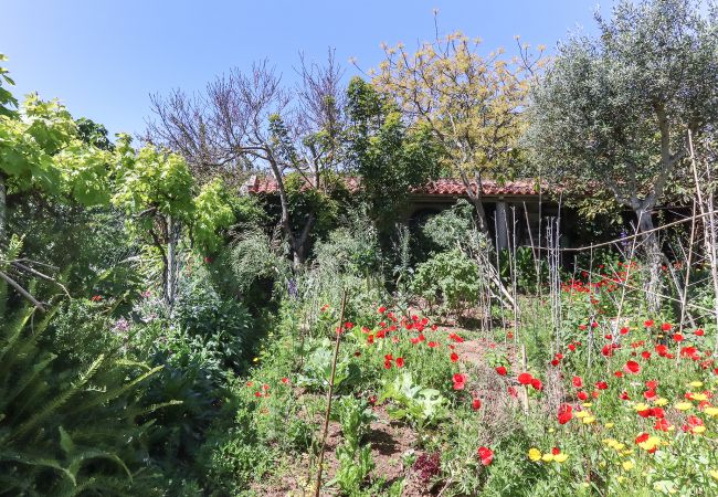 Apartment in Aldeia de Juzo - Guincho Garden I